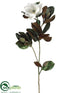 Silk Plants Direct Magnolia Spray - White - Pack of 4