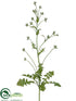 Silk Plants Direct Milkweed Plant - Green - Pack of 6