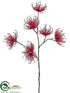 Silk Plants Direct Spider Mum Spray - Red - Pack of 12