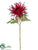 Spider Mum Spray - Burgundy - Pack of 12