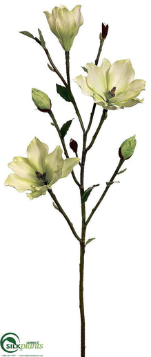 Tree Magnolia Branch - Green - Pack of 6