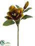 Silk Plants Direct Vintage Romance Magnolia Spray - Avocado Brown - Pack of 12