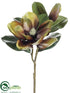 Silk Plants Direct Magnolia Spray - Avocado Brown - Pack of 6