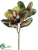 Magnolia Spray - Avocado Brown - Pack of 6