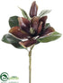 Silk Plants Direct Magnolia Spray - Coffee Avocado - Pack of 6