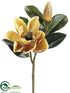 Silk Plants Direct Magnolia Spray - Honey - Pack of 6