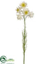 Silk Plants Direct Nigella Spray - Cream - Pack of 12