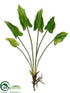 Silk Plants Direct Nephthytis Bush - Green - Pack of 24