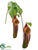 Bottle Nepenthes Spray - Burgundy Green - Pack of 4
