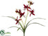 Silk Plants Direct Cymbidium Orchid Plant - Burgundy Crimson - Pack of 12