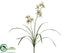 Silk Plants Direct Cymbidium Orchid Plant - Cream Green - Pack of 12