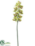 Silk Plants Direct Cymbidium Orchid Spray - Lime Green - Pack of 4