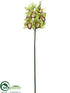 Silk Plants Direct Cymbidium Orchid Spray - Lime Green - Pack of 4