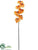 Phalaenopsis Orchid Spray - Apricot Orange - Pack of 4