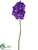 Vanda Orchid Spray - Lavender - Pack of 6