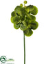 Silk Plants Direct Vanda Orchid Spray - Green - Pack of 6