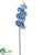 Phalaenopsis Orchid Spray - Blue Delphinium - Pack of 4