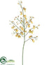 Silk Plants Direct Oncidium Orchid Spray - Yellow Burgundy - Pack of 2