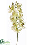 Silk Plants Direct Phalaenopsis Orchid Spray - Green Violet - Pack of 12