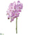 Small Phalaenopsis Orchid Spray - Lavender Two Tone - Pack of 12