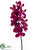 Phalaenopsis Orchid Spray - Violet - Pack of 12