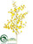 Oncidium Orchid Spray - Yellow - Pack of 12