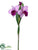 Cattleya Orchid Spray - Orchid Two Tone - Pack of 12
