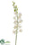 Dendrobium Orchid Spray - Cream - Pack of 6