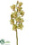 Cymbidium Orchid Spray - Green Burgundy - Pack of 2