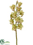 Silk Plants Direct Cymbidium Orchid Spray - Green Burgundy - Pack of 2
