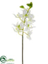 Silk Plants Direct Swan Orchid Spray - Cream Green - Pack of 12