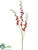 Dendrobium Orchid Spray - Red - Pack of 12