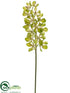 Silk Plants Direct Vanda Orchid Spray - Green - Pack of 12