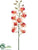 Dendrobium Orchid Spray - Peach - Pack of 6