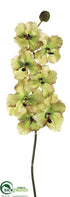 Silk Plants Direct Vanda Orchid Spray - Green Burgundy - Pack of 6