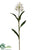 Cattleya Orchid Spray - White Green - Pack of 4