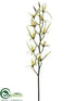 Silk Plants Direct Brassidium Orchid Spray - Green Burgundy - Pack of 6