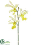 Silk Plants Direct Butterfly Oncidium Orchid Spray - Cream Green - Pack of 12
