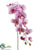 Phalaenopsis Orchid Spray - Lavender Orchid - Pack of 6