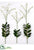 Renantera Orchid Plant Kit Box - White - Pack of 1
