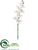 Phalaenopsis Orchid Spray - White - Pack of 12