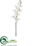 Silk Plants Direct Phalaenopsis Orchid Spray - White - Pack of 12