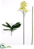 Silk Plants Direct Phalaenopsis Orchid Plant Kit Box - Green - Pack of 2
