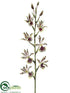 Silk Plants Direct Oncidium Orchid Spray - Green Burgundy - Pack of 12