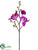 Phalaenopsis Orchid Spray - Orchid - Pack of 12