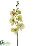Silk Plants Direct Phalaenopsis Orchid Spray - Green Orchid - Pack of 12