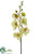 Phalaenopsis Orchid Spray - Green Orchid - Pack of 12