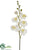 Phalaenopsis Orchid Spray - White - Pack of 12