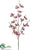 Dendrobium Orchid Spray - Orchid - Pack of 12