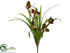 Silk Plants Direct Mini Cymbidium Orchid Plant - Burgundy Green - Pack of 12